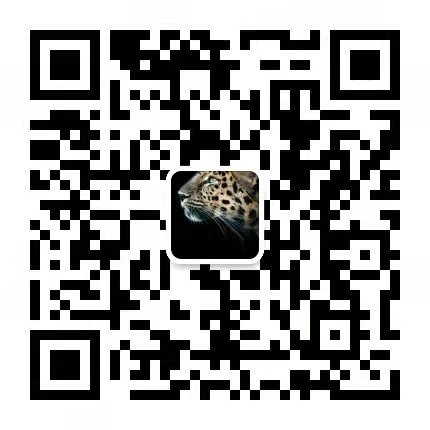 Silicoin中国社区志愿者微信